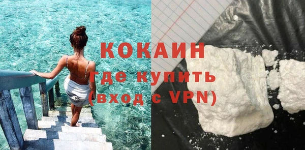 твердый Абаза