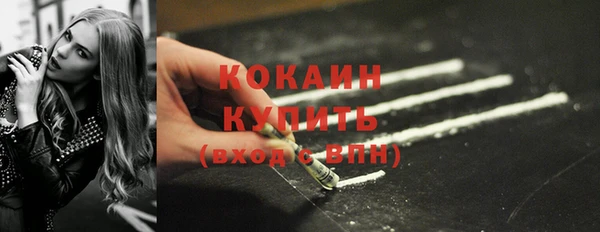 твердый Абаза