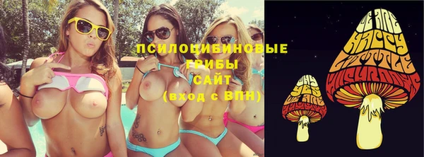 твердый Абаза