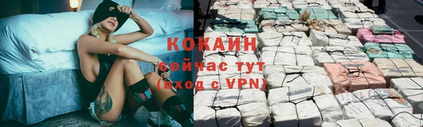 твердый Абаза