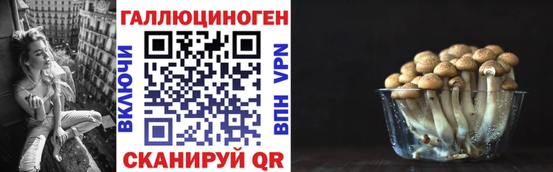 Галлюциногенные грибы Psilocybine cubensis  мега ONION  Курчатов 